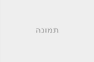עיצוב גינה ארץ ישראלית 