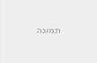 העתקת עצים – מהי הדרך הבטוחה ביותר 